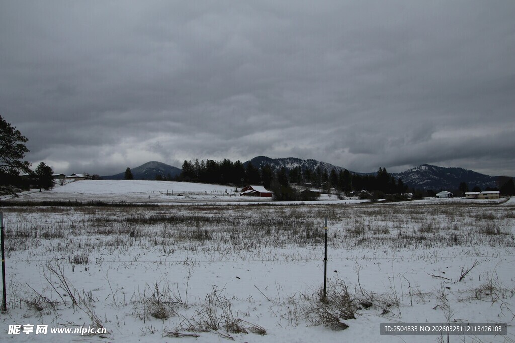 冬日雪景中的开阔田野