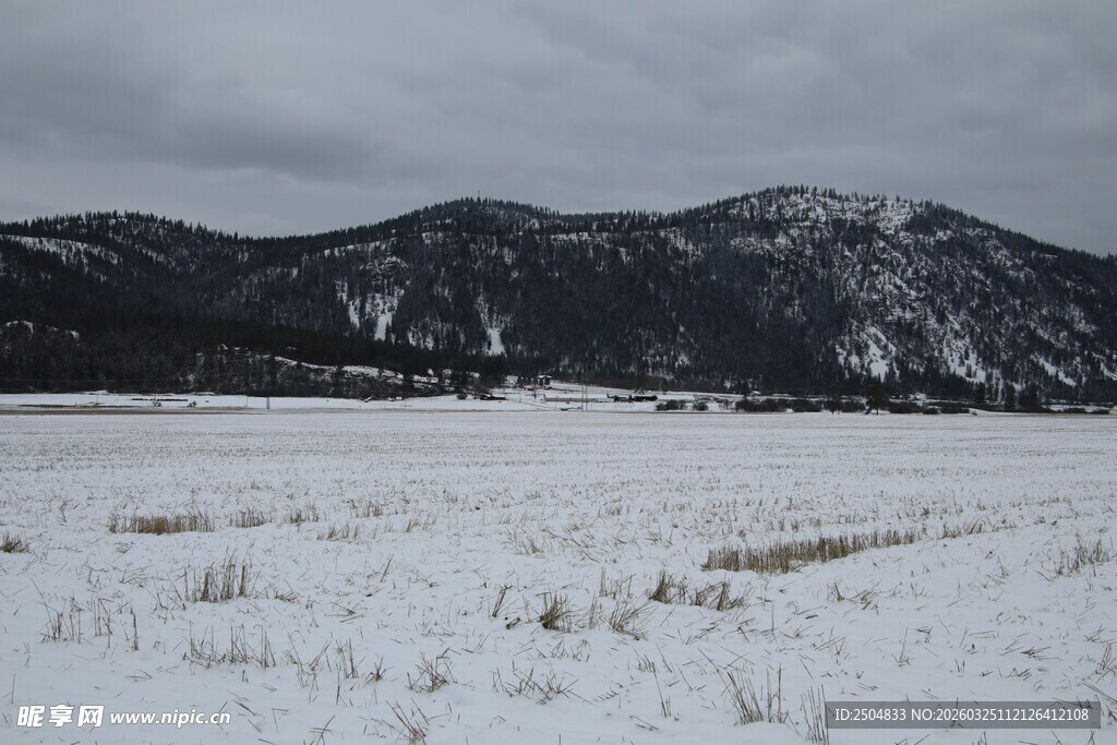 雪覆原野与远山景色