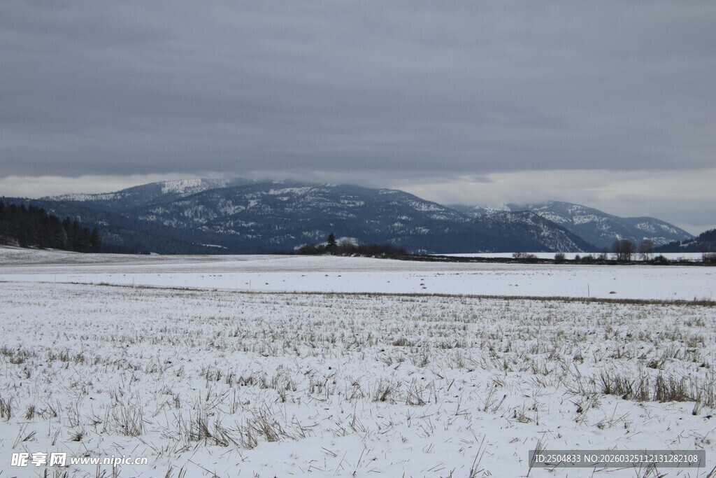 冬日雪野 远山覆雪之景