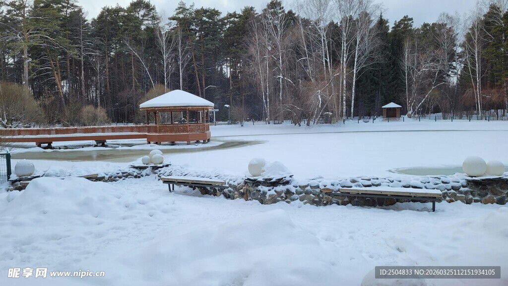 冬日雪覆湖畔静谧风光