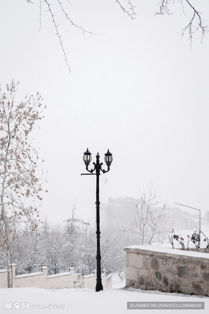 雪天中的路灯与静谧景致