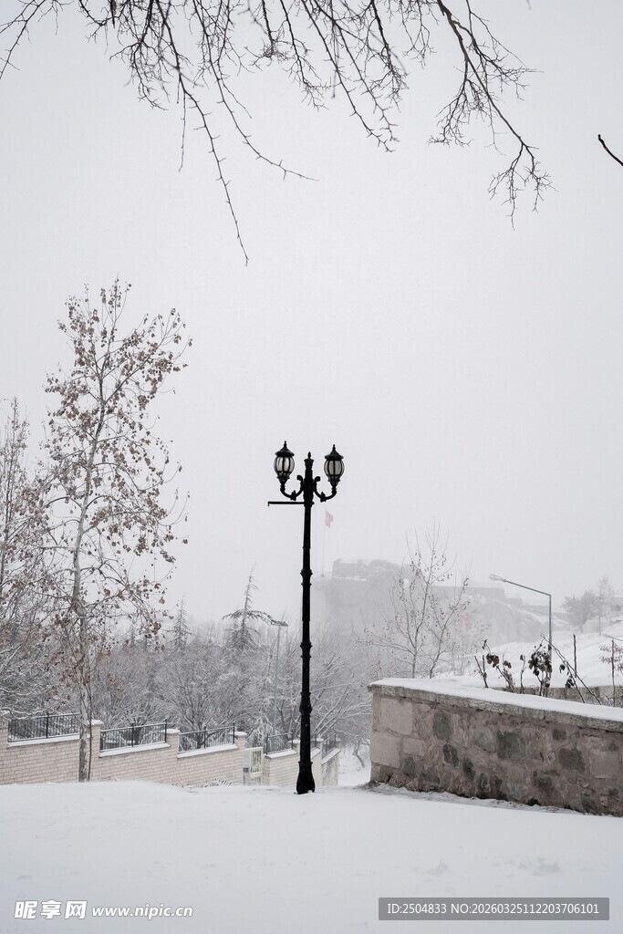 雪后路灯景