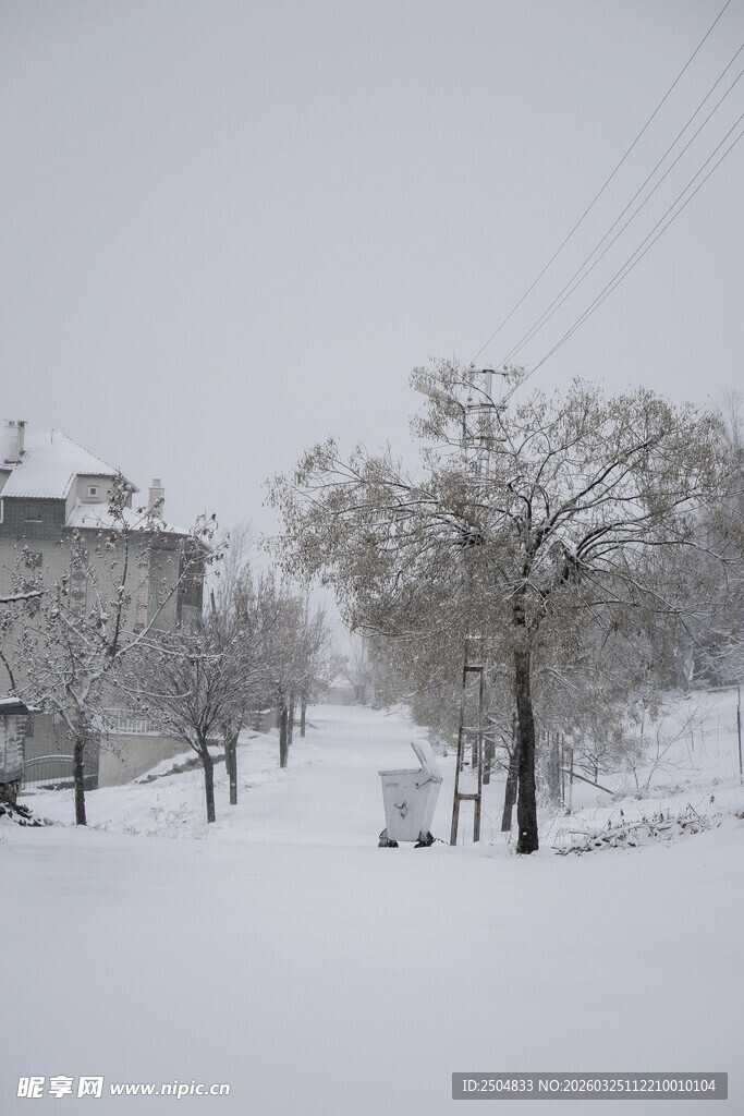 冬日雪景中的静谧街道