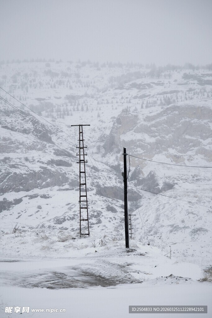 雪野中的电线杆