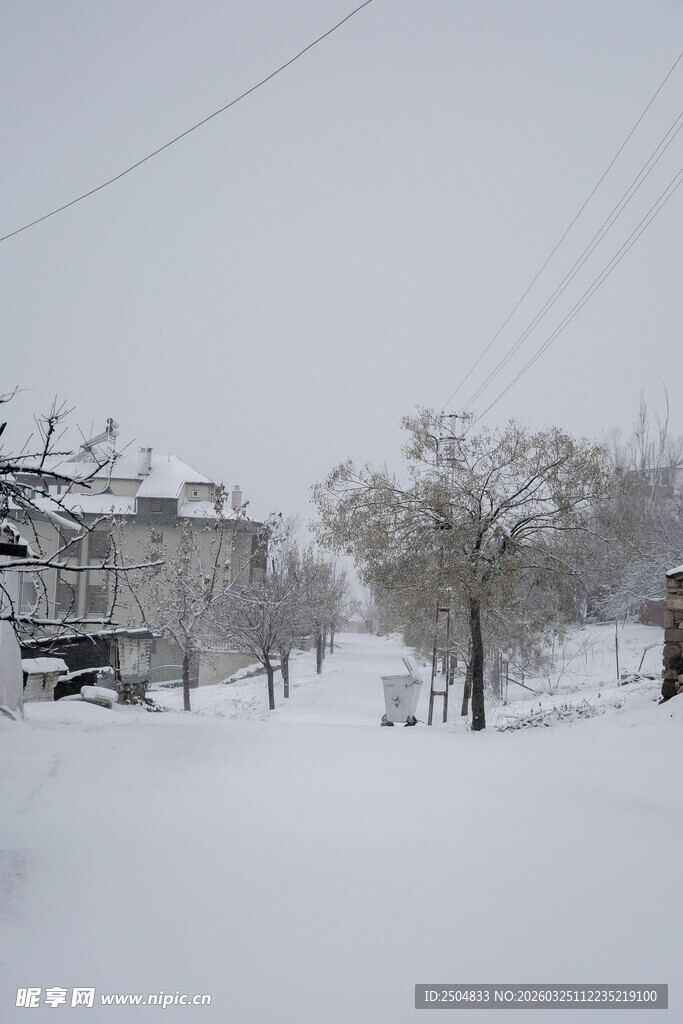冬日雪景中的宁静街道