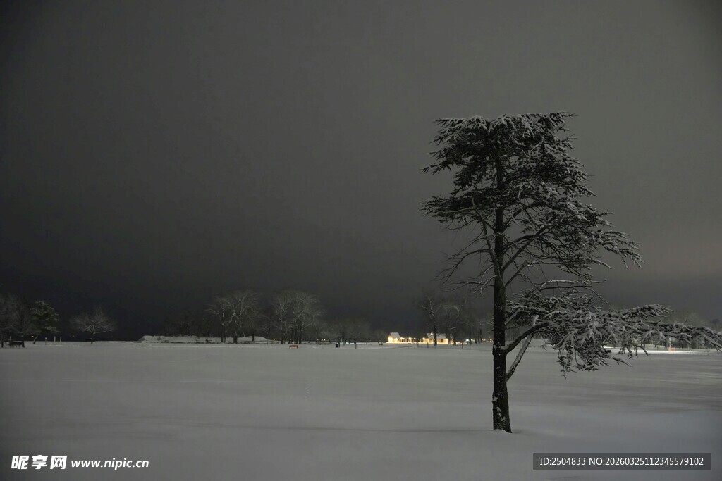 雪夜孤树