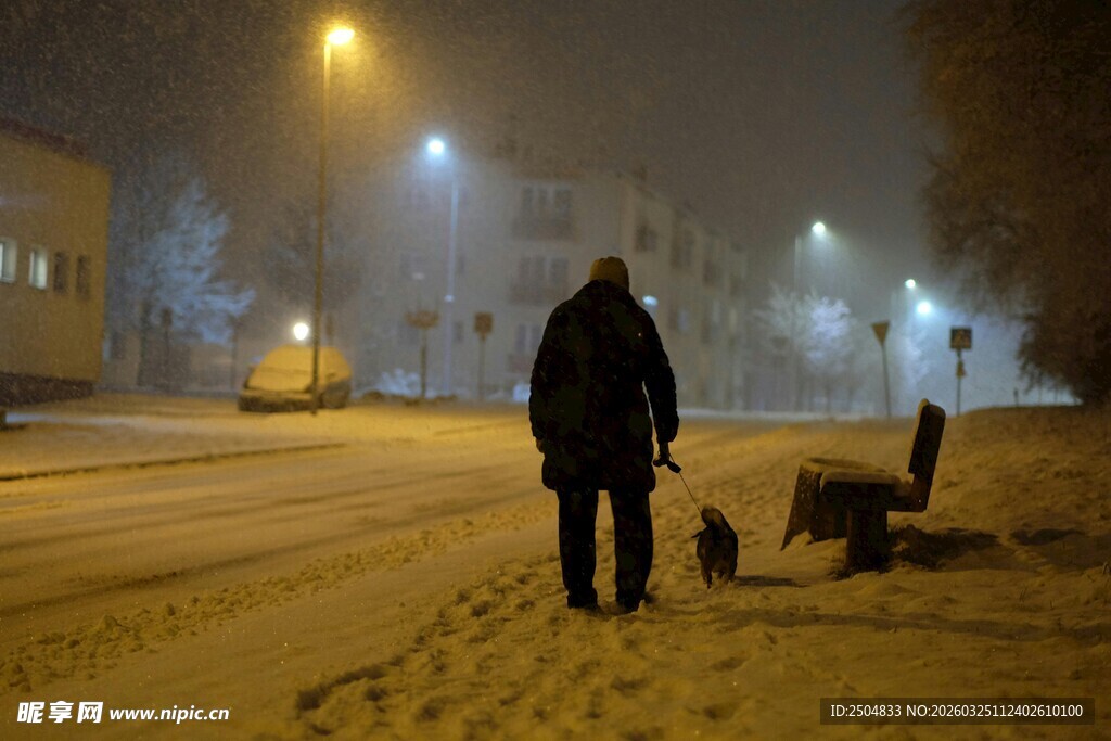 雪夜中人与狗的静谧身影