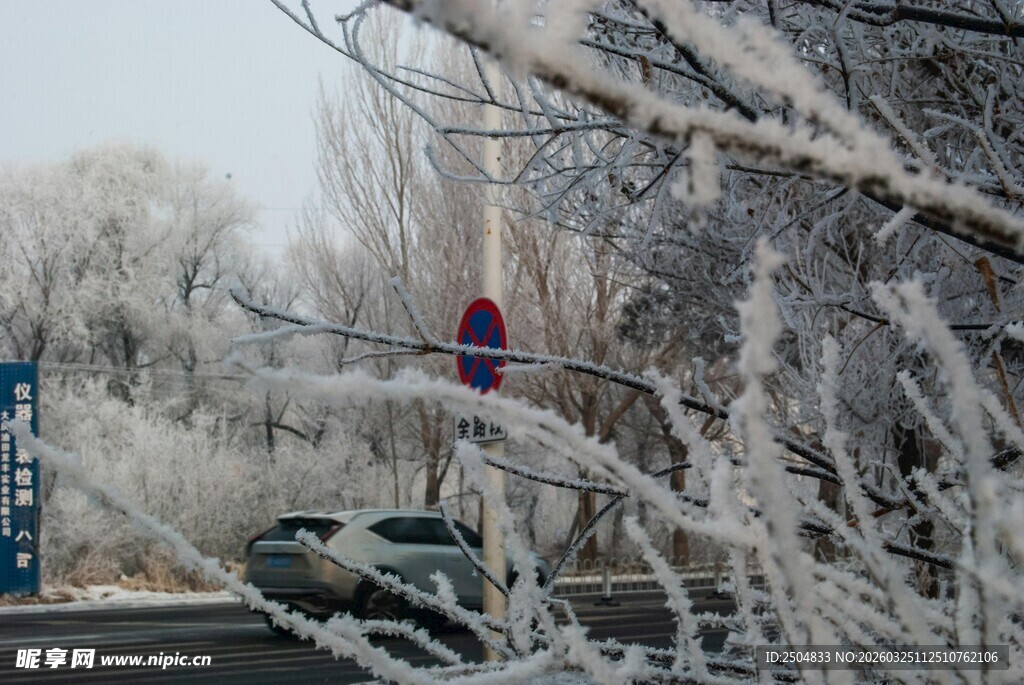 冬日银装素裹的街道景象