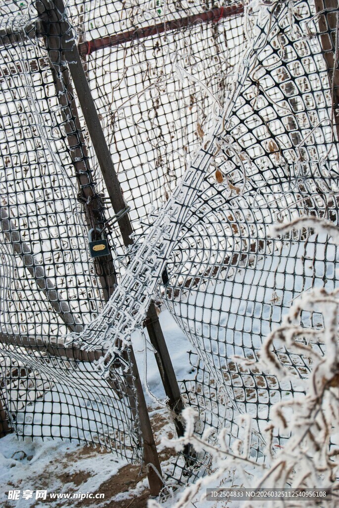 破损的白色网状围栏