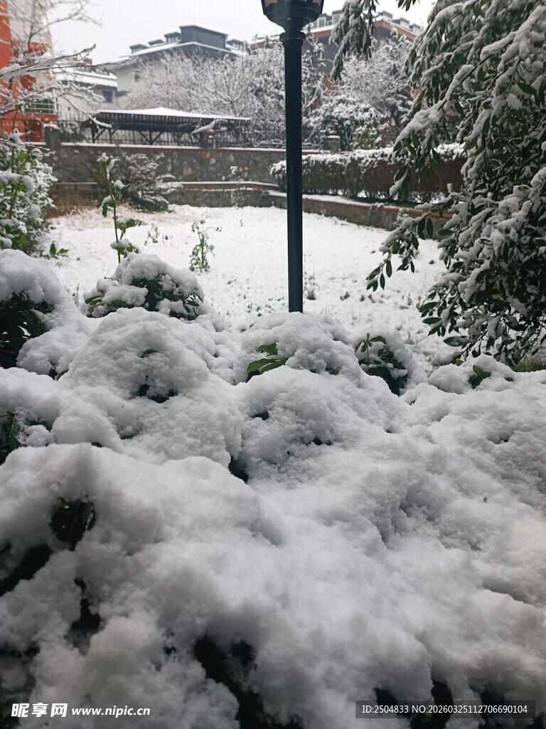 雪覆庭院景致