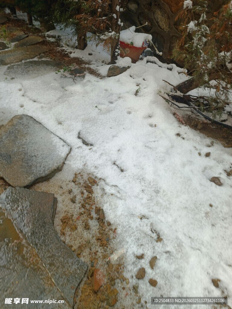 雪覆石径的自然景致