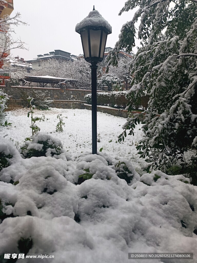 雪后园林中的古朴路灯