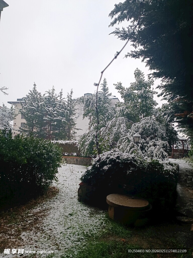 雪覆绿植的静谧庭院