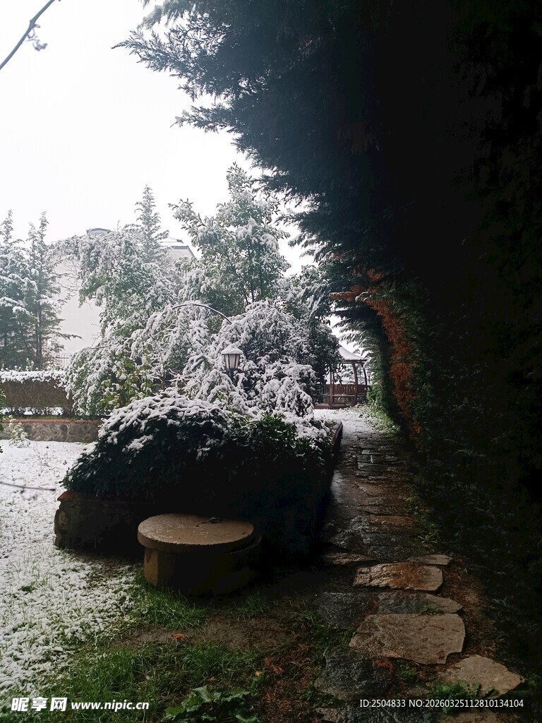 雪覆庭院 静谧自然景致