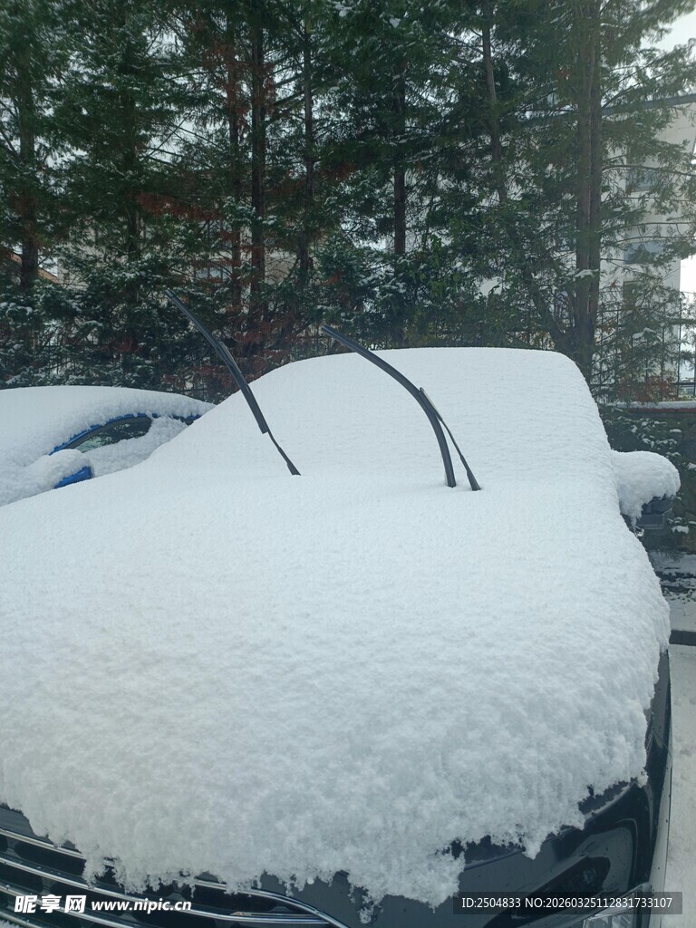 雪覆汽车 冬日景象