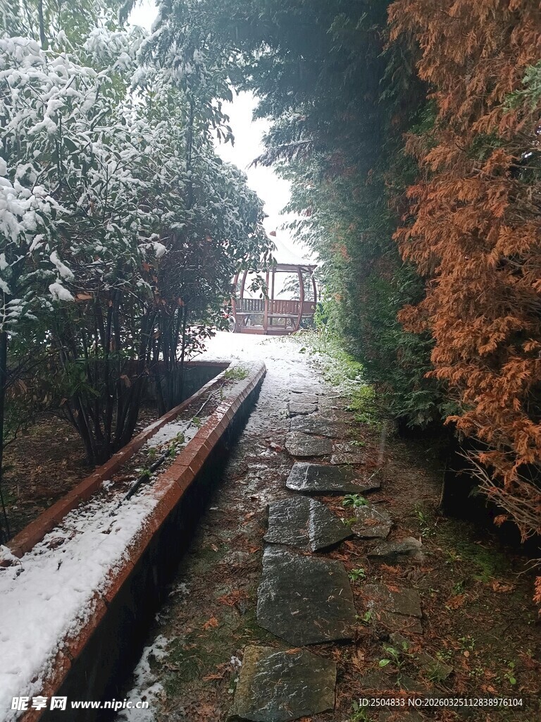 雪覆小径 冬日幽静景致