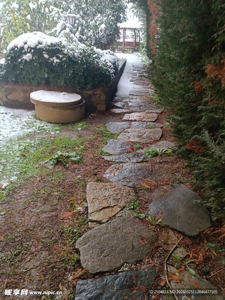 雪覆石径 庭院冬日景致