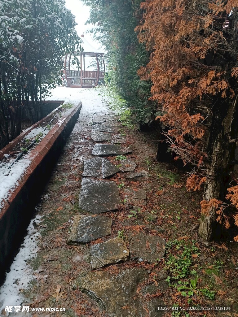 雨中石板小径 静谧景致