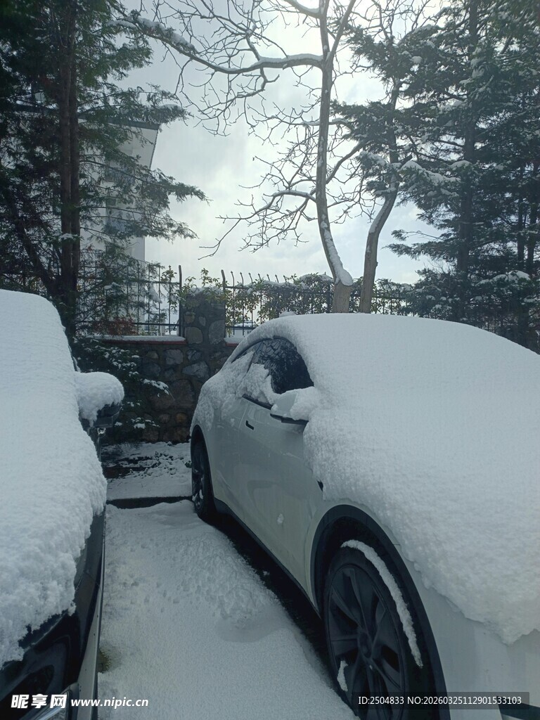 雪覆汽车 冬日停车场景