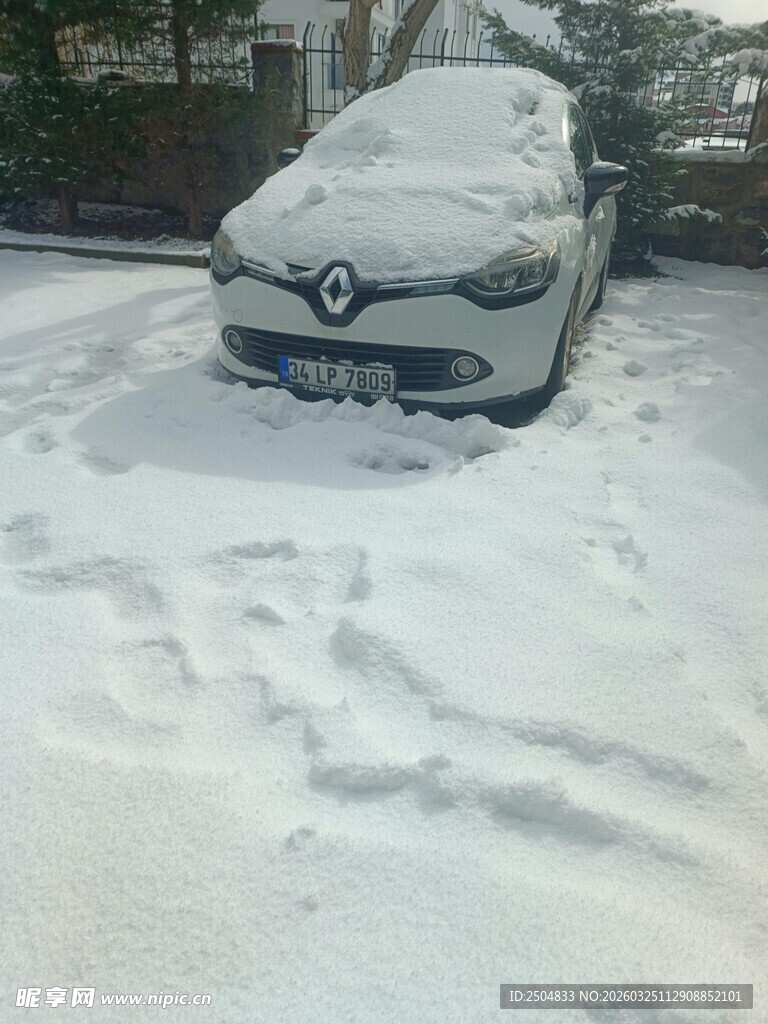 雪中停放的轿车