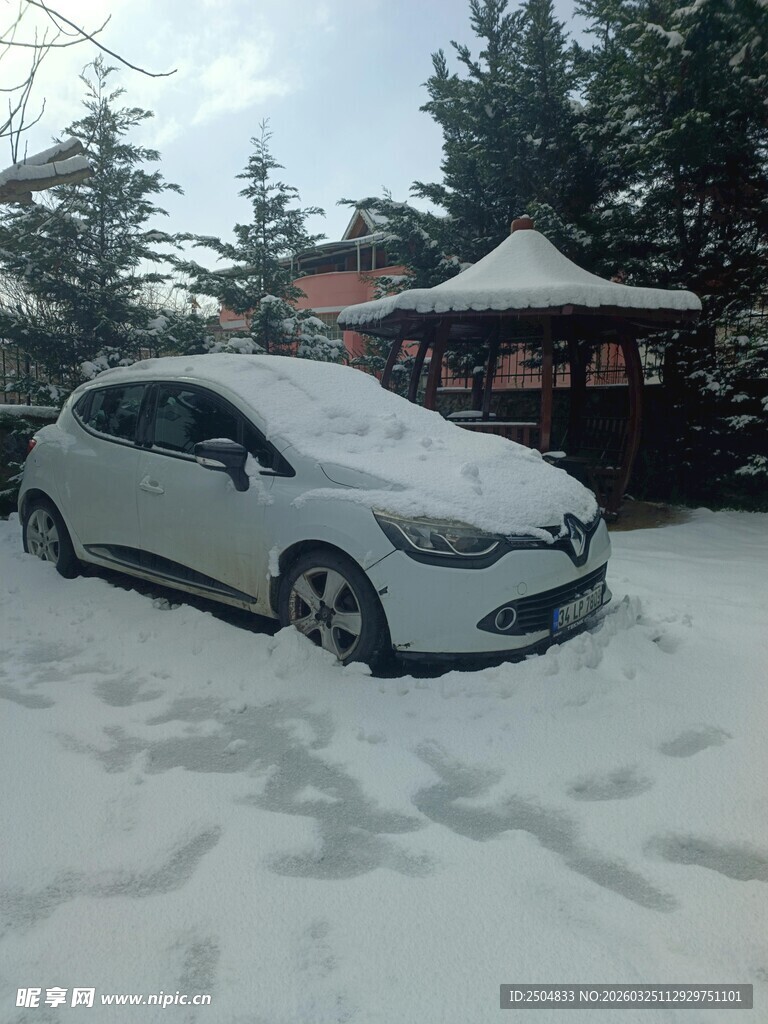 雪覆汽车 冬日静谧景象
