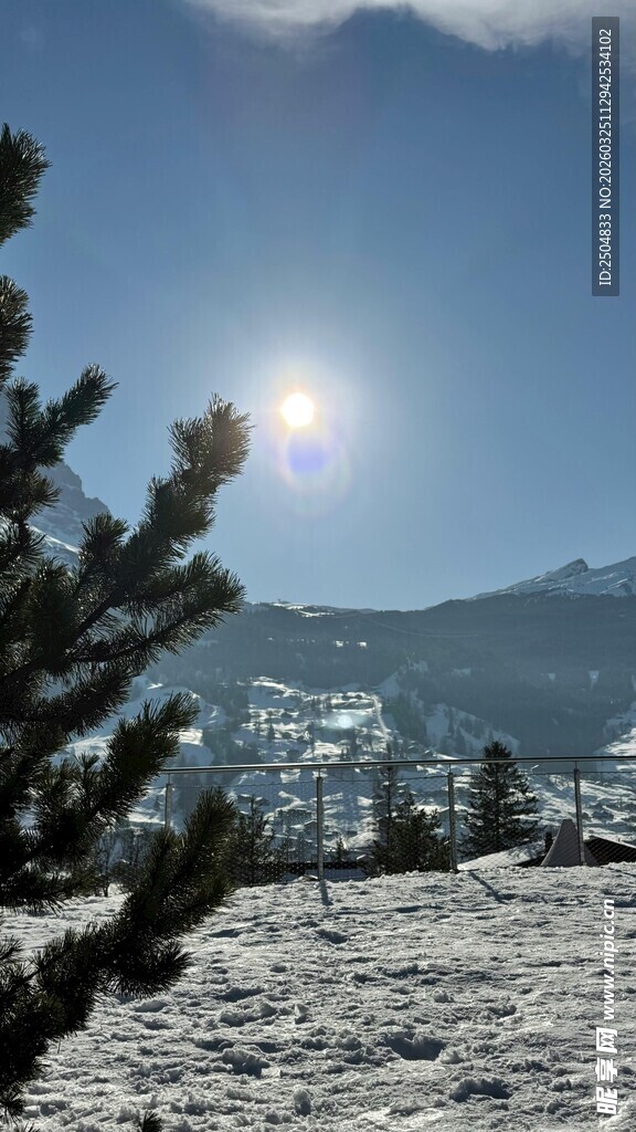 雪后山林间的耀眼阳光