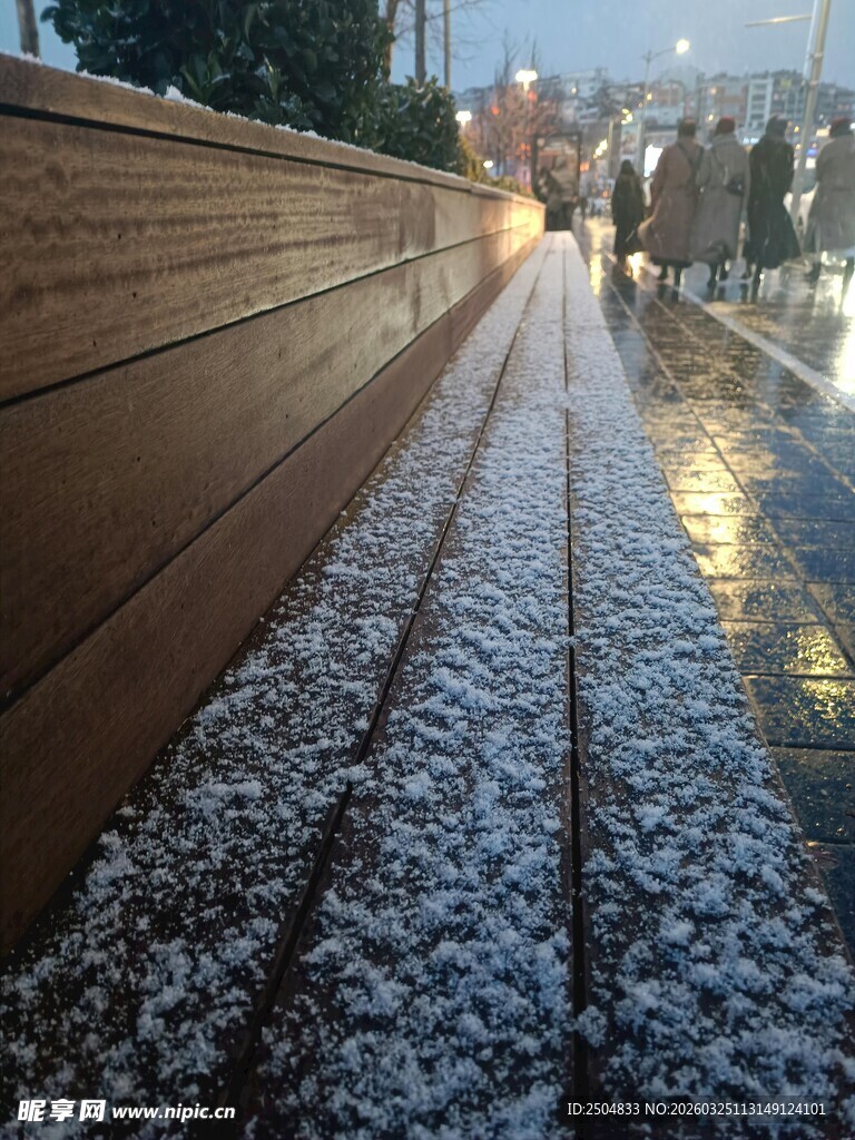 雨后街道 地面落满白色花瓣