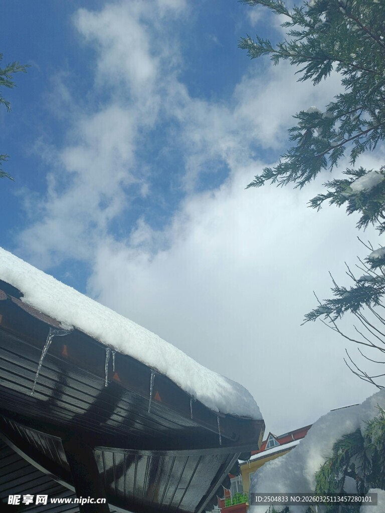 屋顶覆雪与蓝天绿树景象