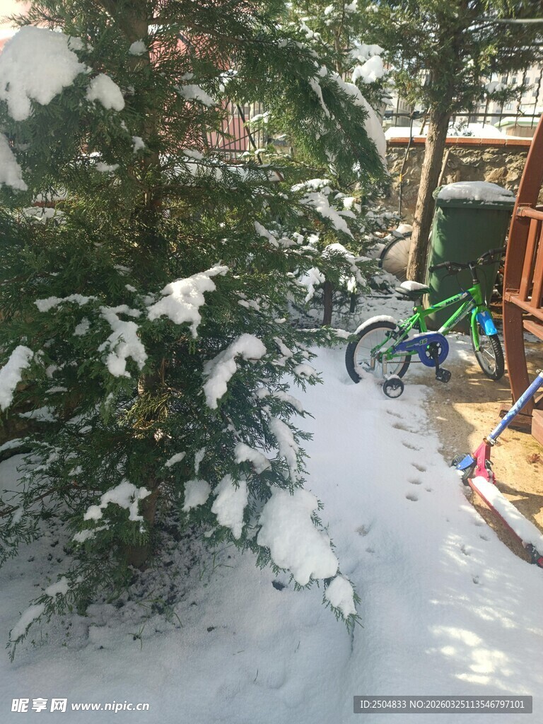 雪覆庭院中的绿植与玩具