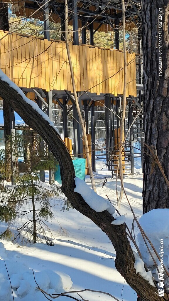 冬日林间覆雪的木质建筑