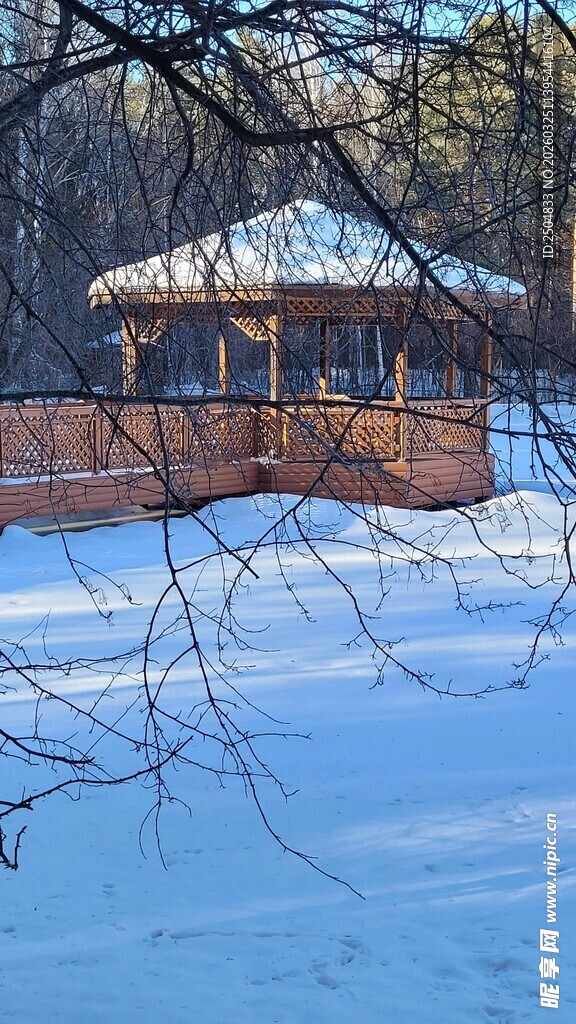 冬日雪景中的木质凉亭