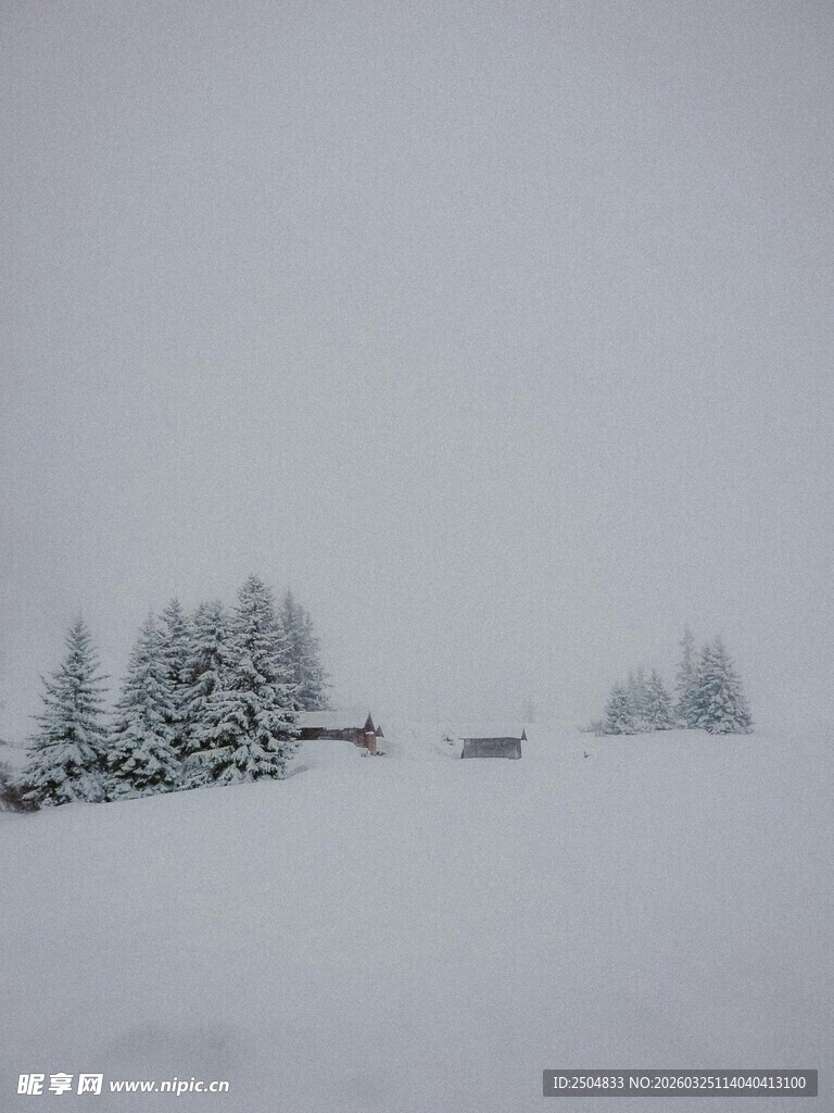 雪覆山林的静谧冬日景象