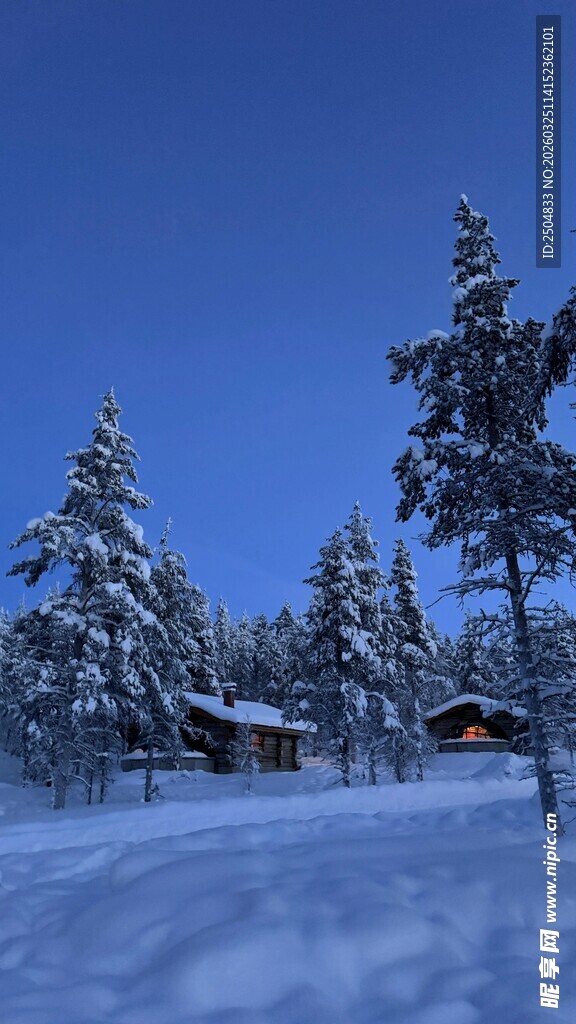 冬日雪林小屋美景