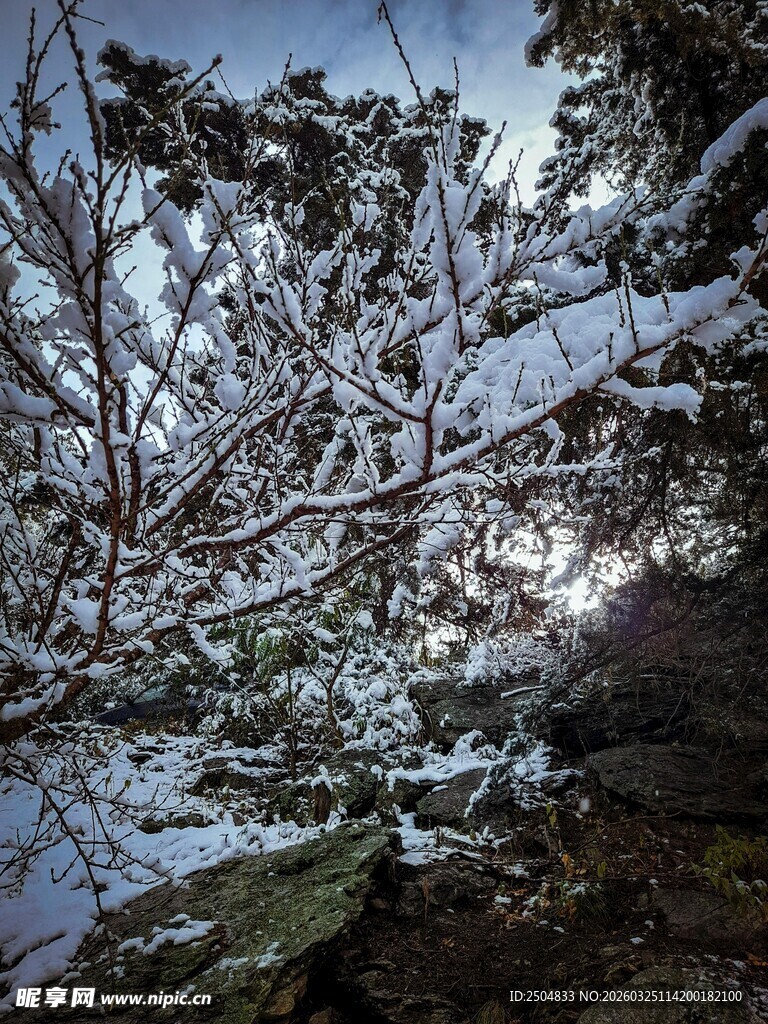 雪覆山林的冬日美景