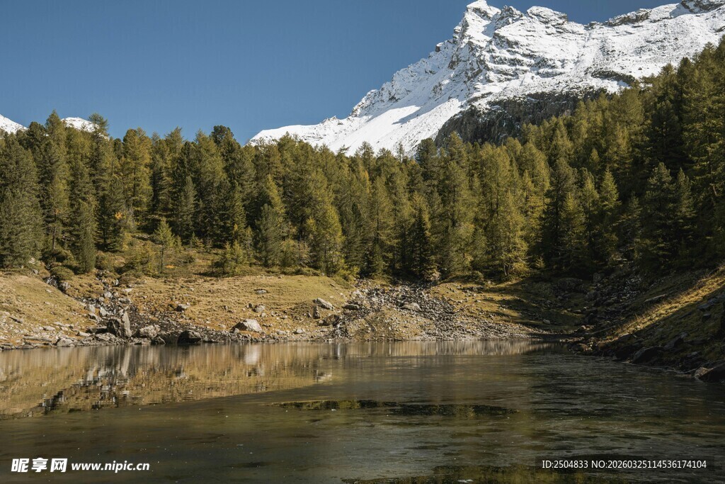 雪山下的静谧森林湖泊