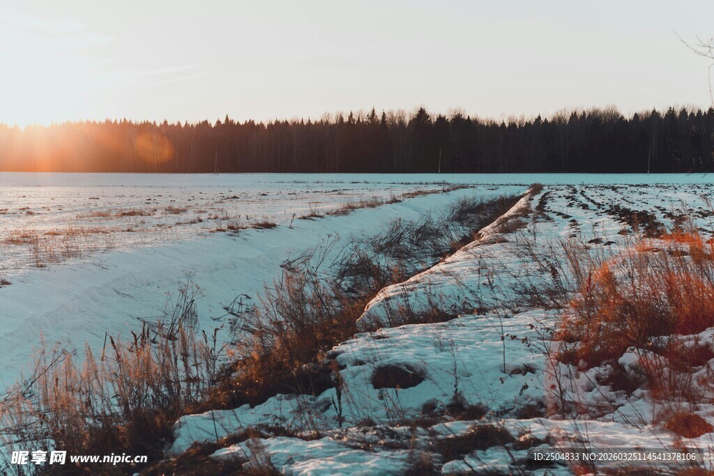 冬日雪野的温暖日落