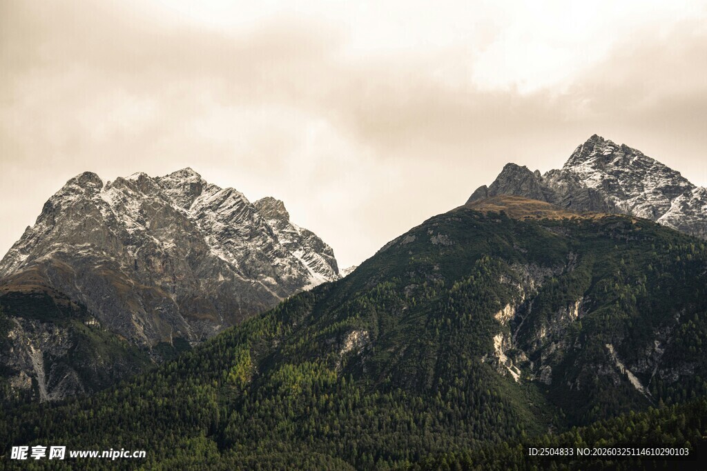 巍峨雪山与葱郁山林
