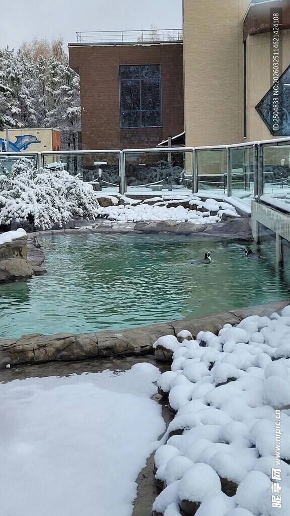 冬日雪景中的户外温泉池