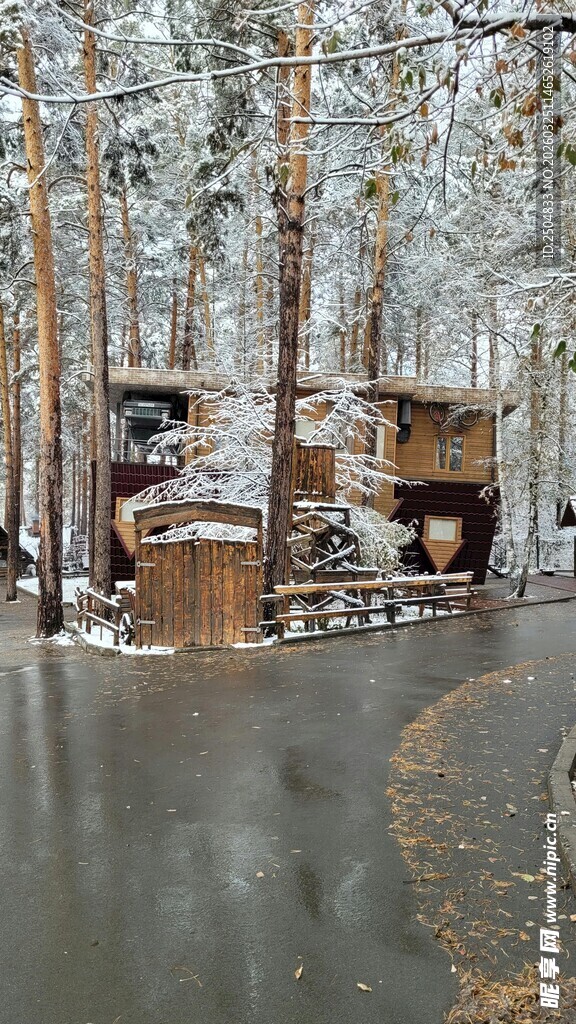 冬日雪林里的温馨木屋