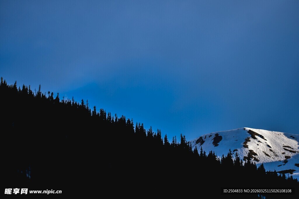 雪山松林的静谧景致