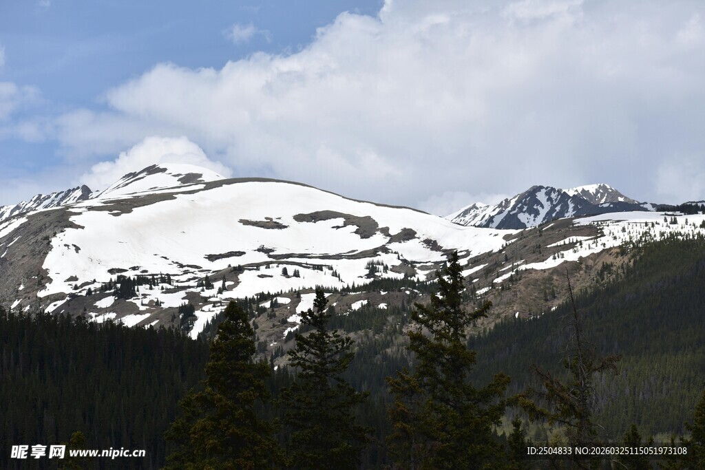 雪山森林美景