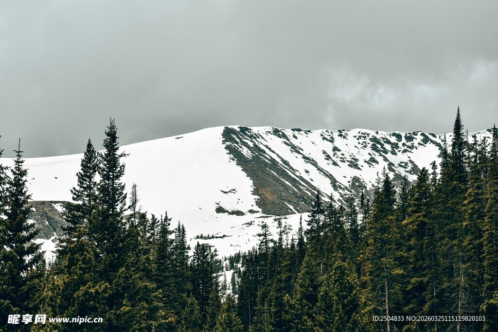 雪覆山林的壮美自然景观