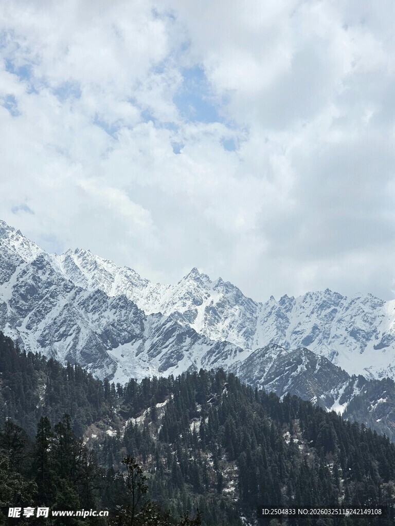 壮丽雪山与森林景观