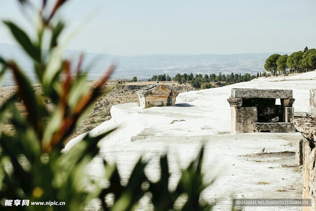 古老遗迹前的绿植景观