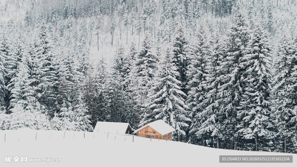 雪覆山林中的温馨小屋