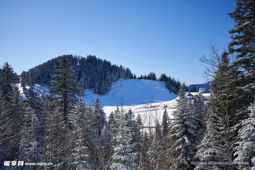冬日山林雪景风光
