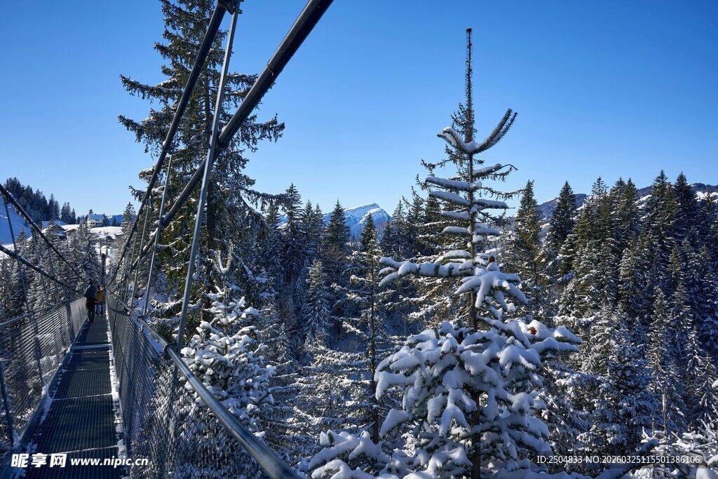 雪覆山林中的高架观景台
