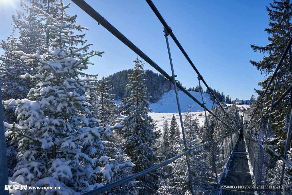 雪覆山林中的悬索桥