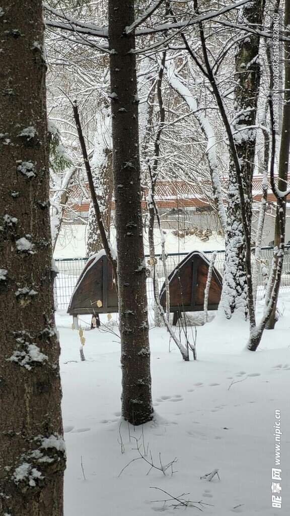 雪覆树林中的温馨小屋