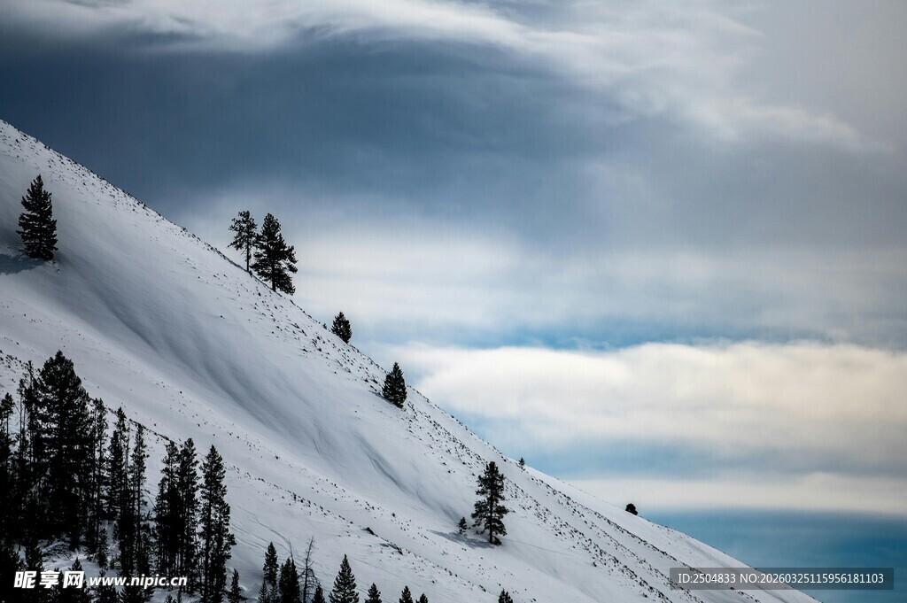 雪山松林与天际美景